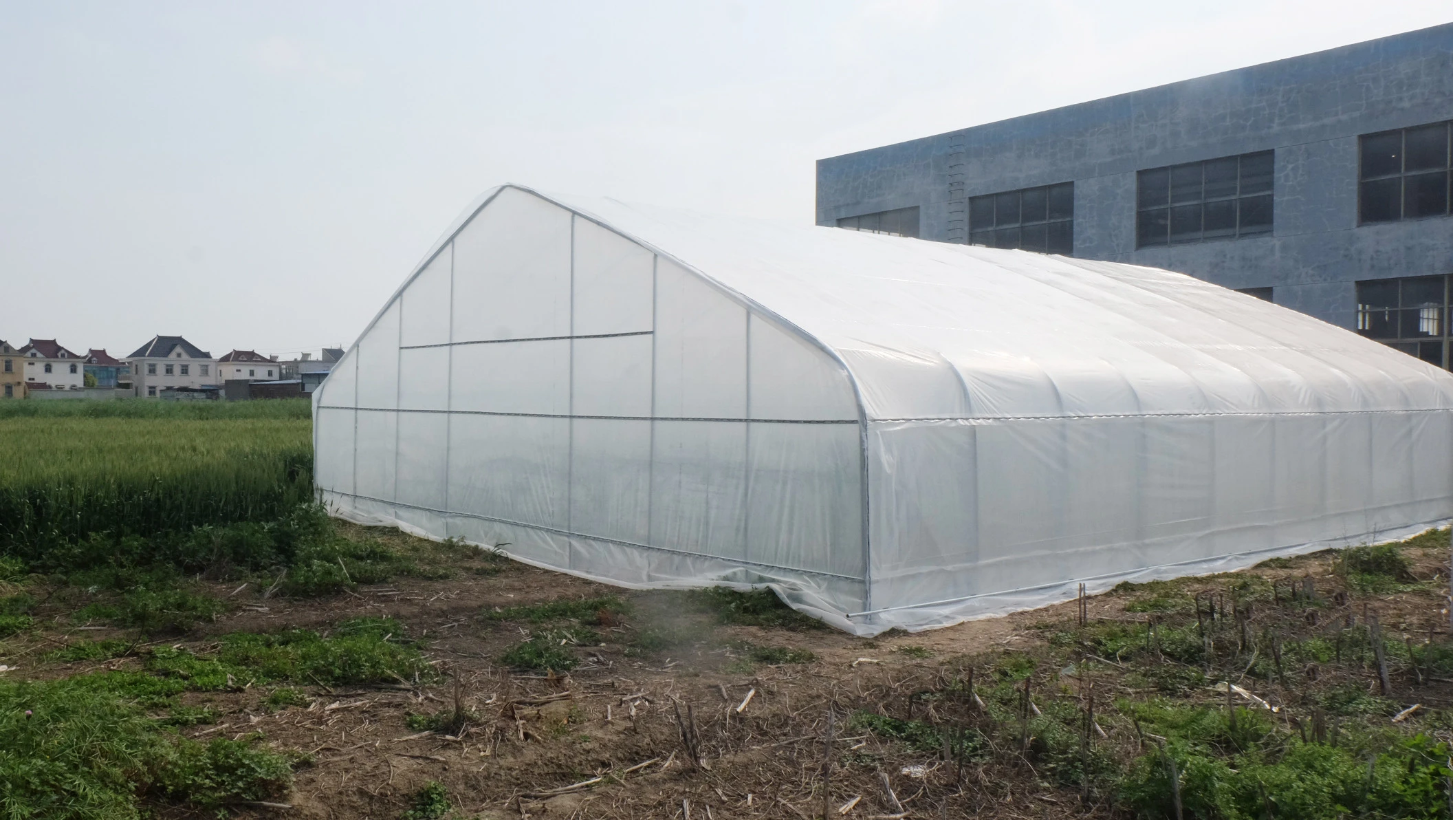 Buy Skyplant Agriculture Single Span Arch Plastic Film Greenhouse From