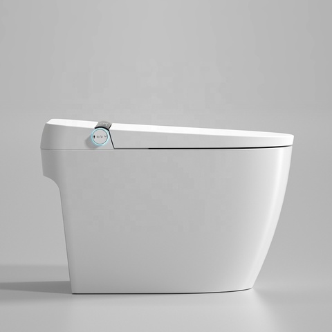 Buy Modern Advanced Bathroom Smart Wc Toilets Sanitary Ware Floor