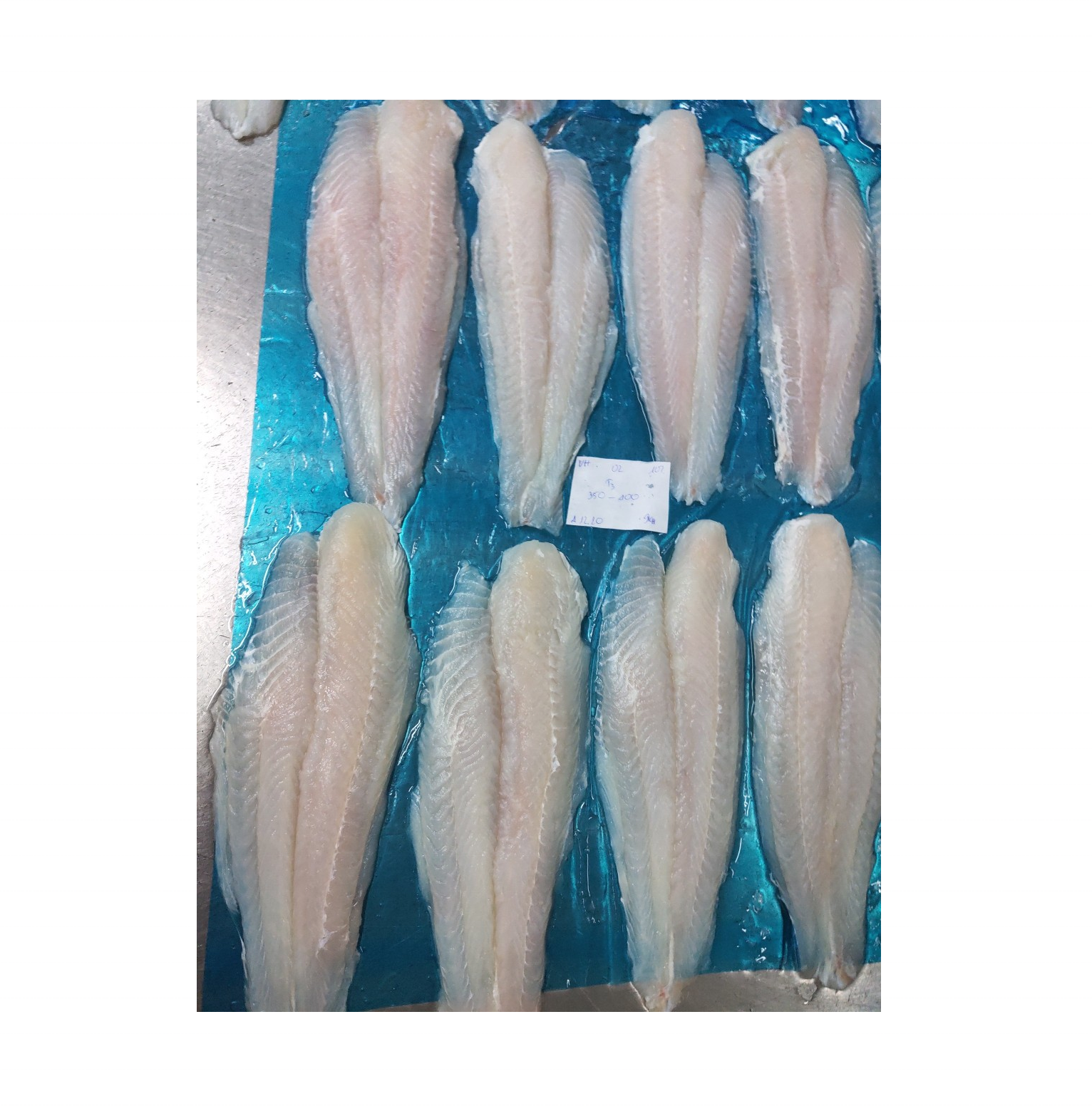 Buy Iqf Frozen Pangasius Basa Fish Fillet Well Trimmed From Viet Hong