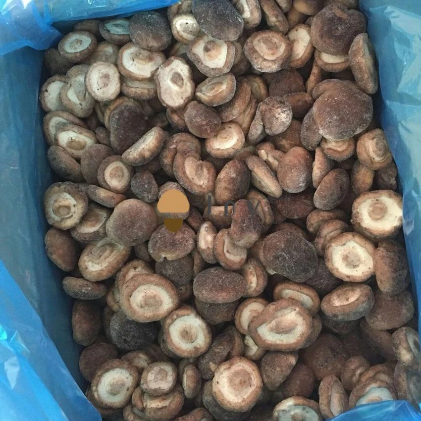 Buy Iqf Frozen Shiitake Mushroom Lentinus Edodes From Dalian Joyfood