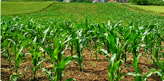 Agricultural Equipment Suppliers
