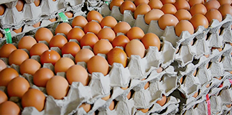 Agricultural Packaging Suppliers