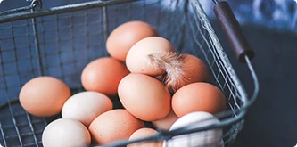 Animal Products Suppliers