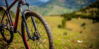 Bicycle Suppliers