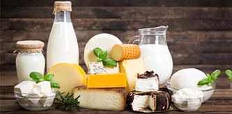 Dairy Products Suppliers