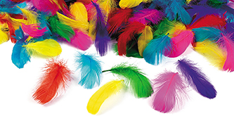Down & Feather Suppliers