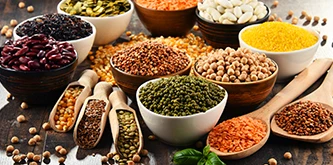Food Ingredients Suppliers