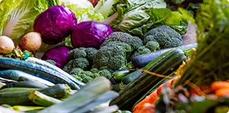 Fresh Vegetables Suppliers