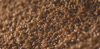 Grain Suppliers