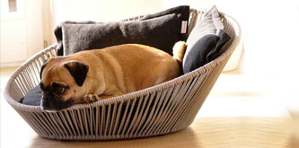 Pet Products Suppliers