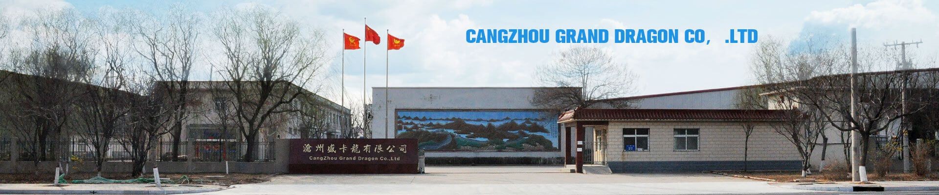 Cangzhou Grand Dragon Trading Co., Ltd