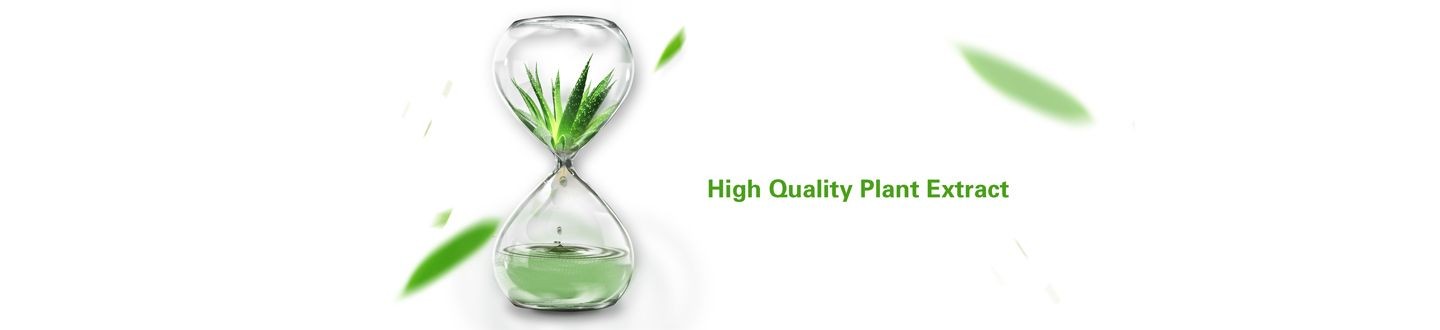 Xuancheng Quality Herb Co.,ltd.