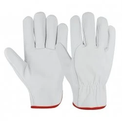 GLOVES XPERTS