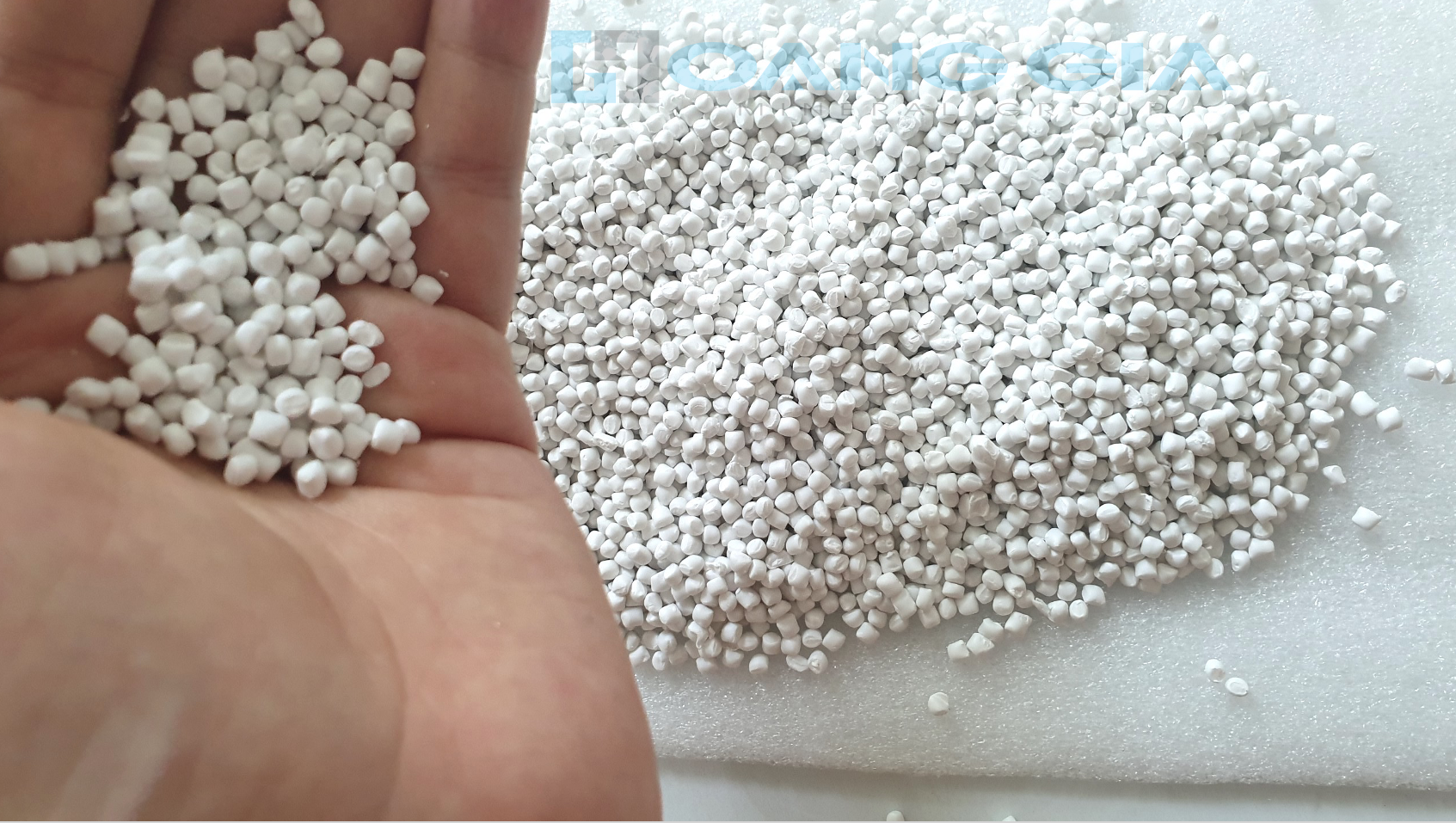 Hoang Gia Mineral Group JSC - Filler Masterbatch