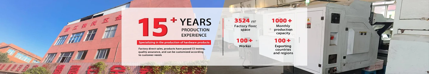 Zhejiang Zhangshi Hardware Co., Ltd