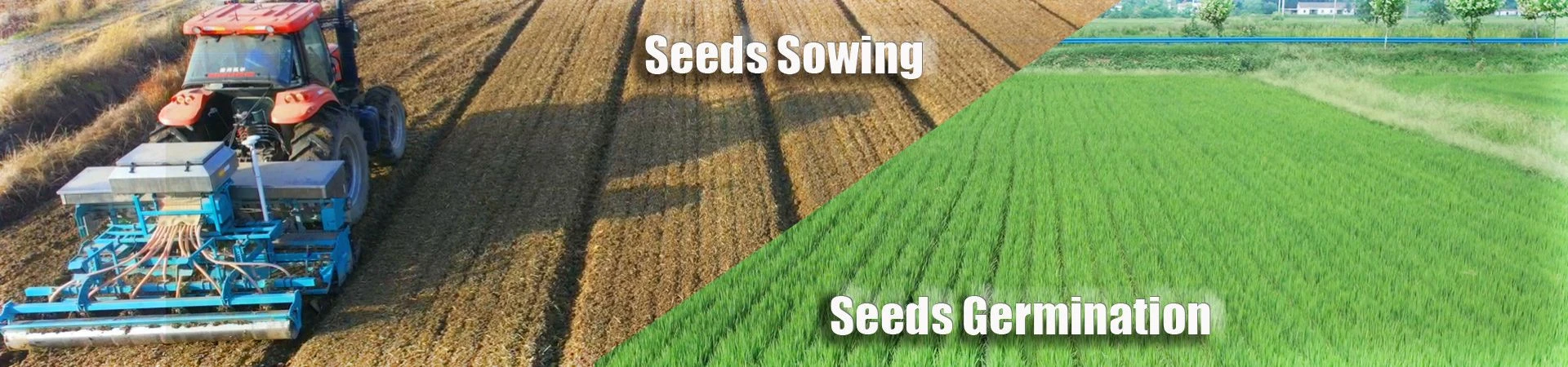 Hubei YongXiang Agricultural Machinery Equipment Co.,Ltd