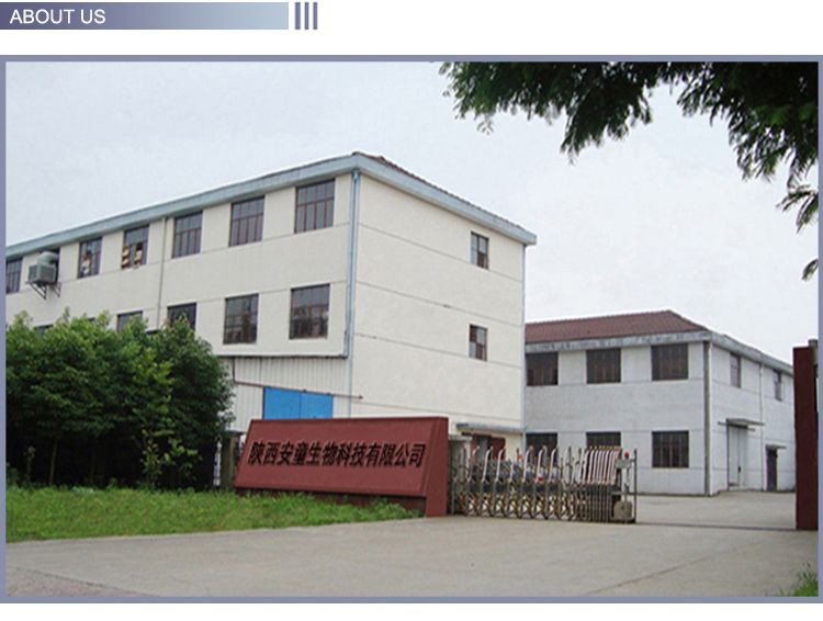 Shaanxi Antong Biotechnology Co., Ltd