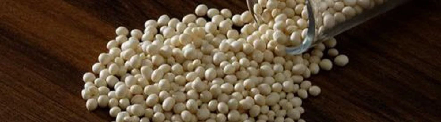 Shanghai luyao industry co.ltd