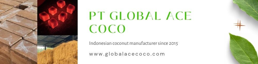 PT GLOBAL ACE COCO