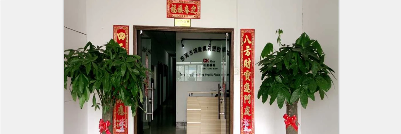 Dongguan ChengKang Mould Plastic Company Limited