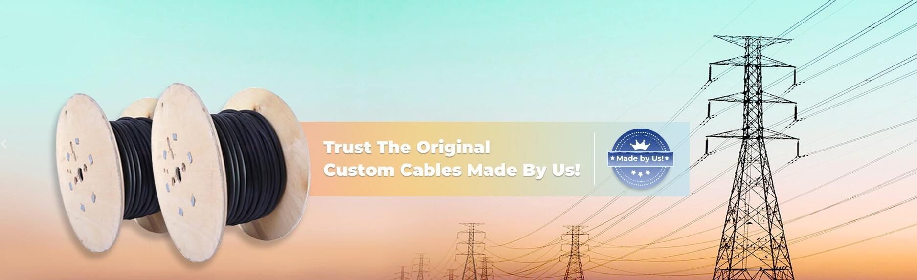 Anhui Xinsen Instrument Cable Co., Ltd.