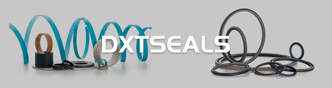 Dongguan Dxseals Technology Co., Ltd.