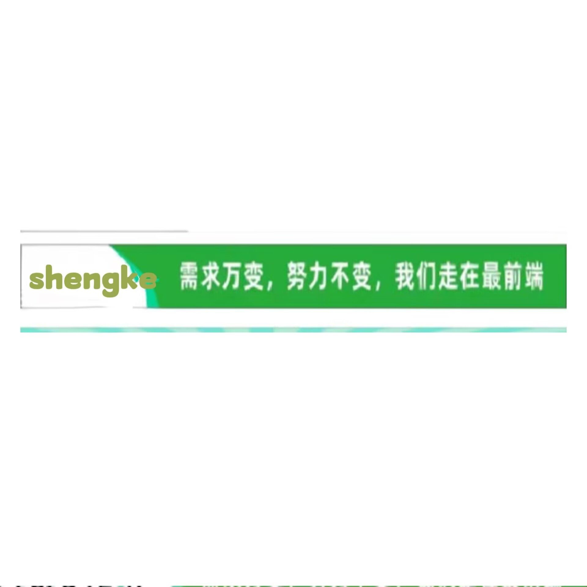 Shengke Co., Ltd