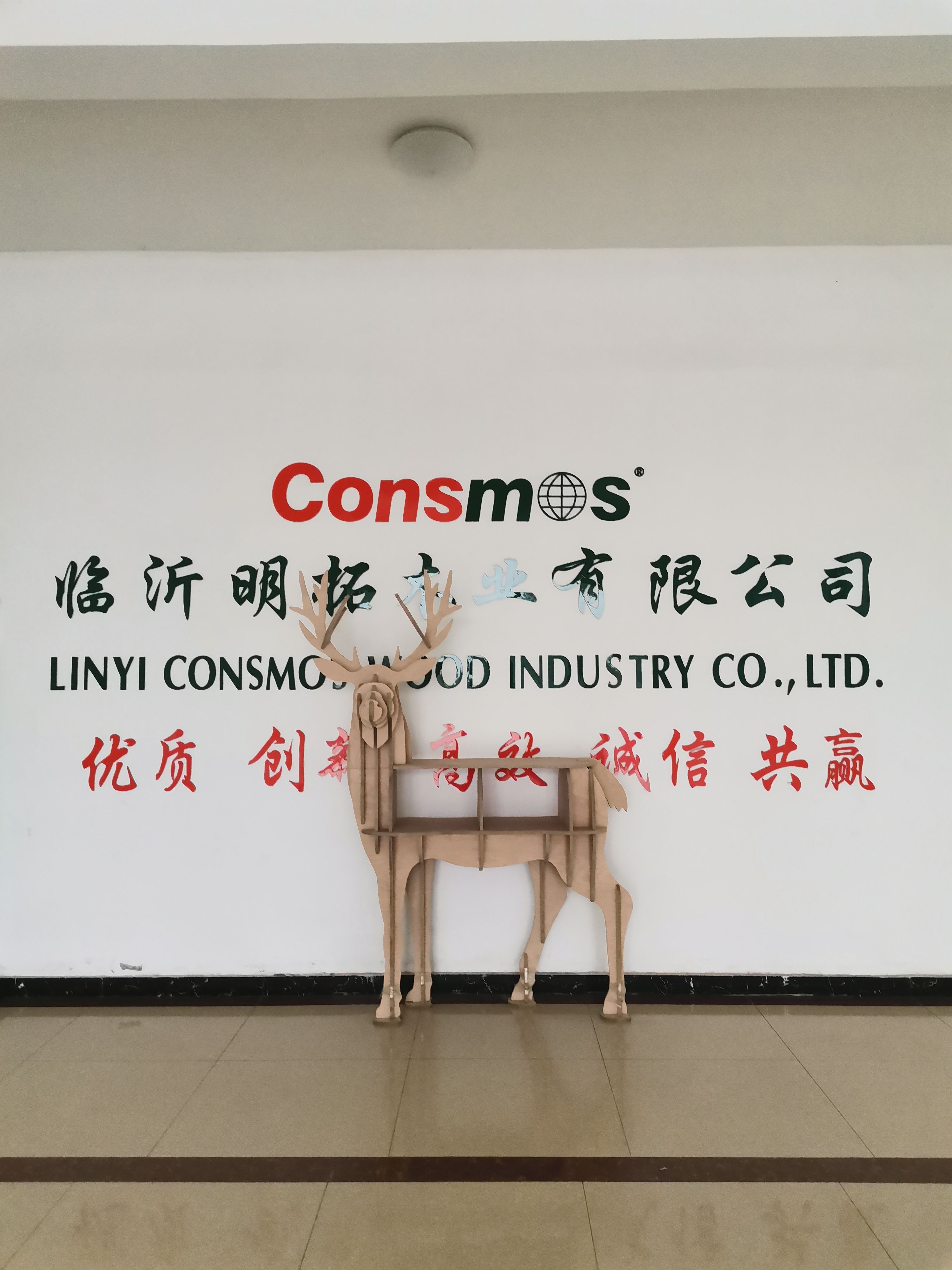 Linyi CONSMOS Imp.&Exp.Co.,Ltd