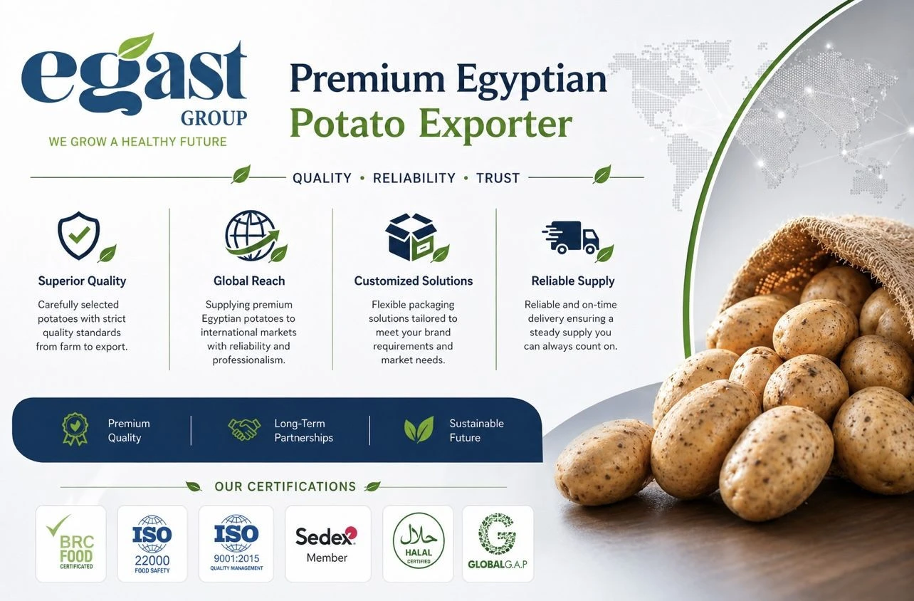 EGAST Group