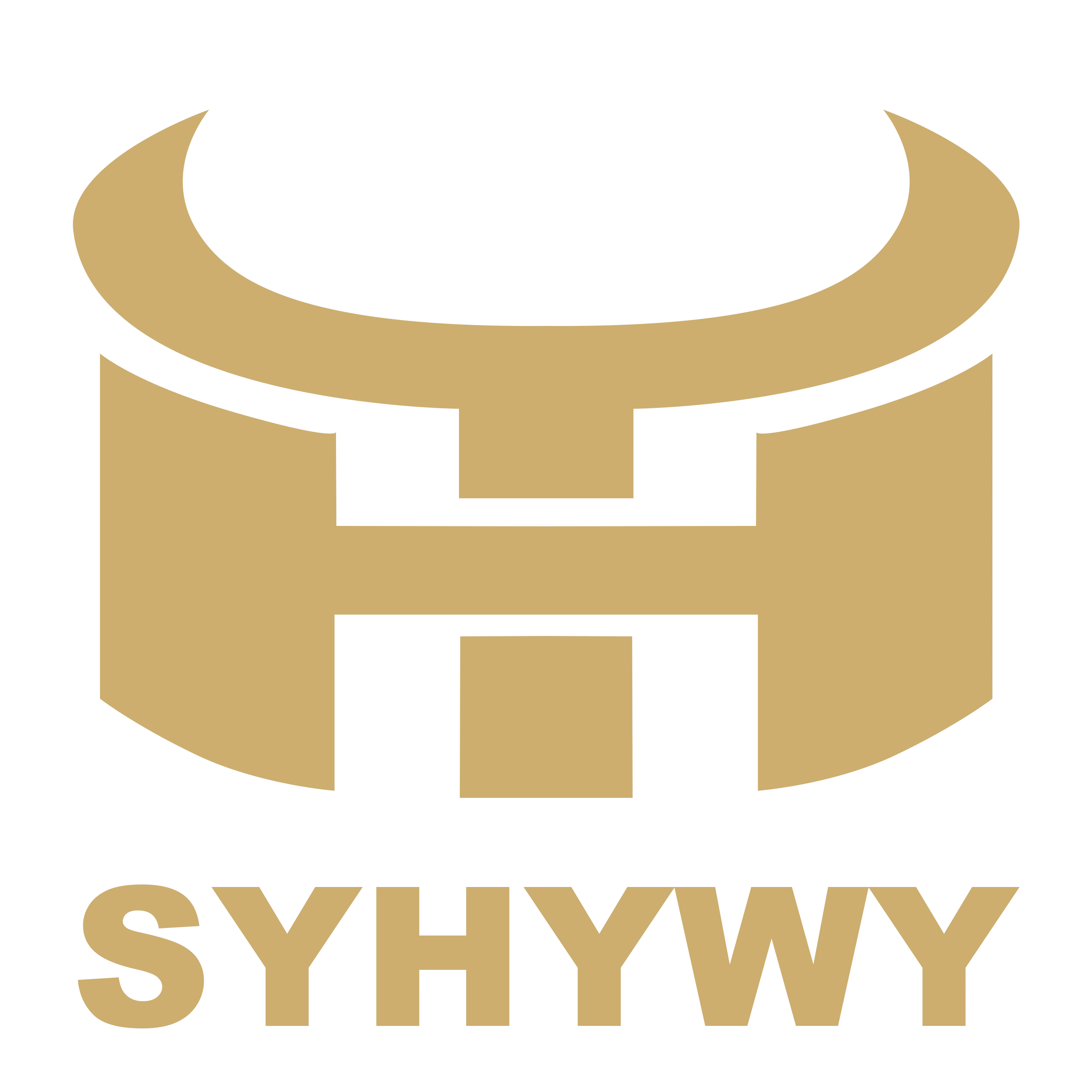 Shenyang Huaying Weiye Steel Structure Co., Ltd.
