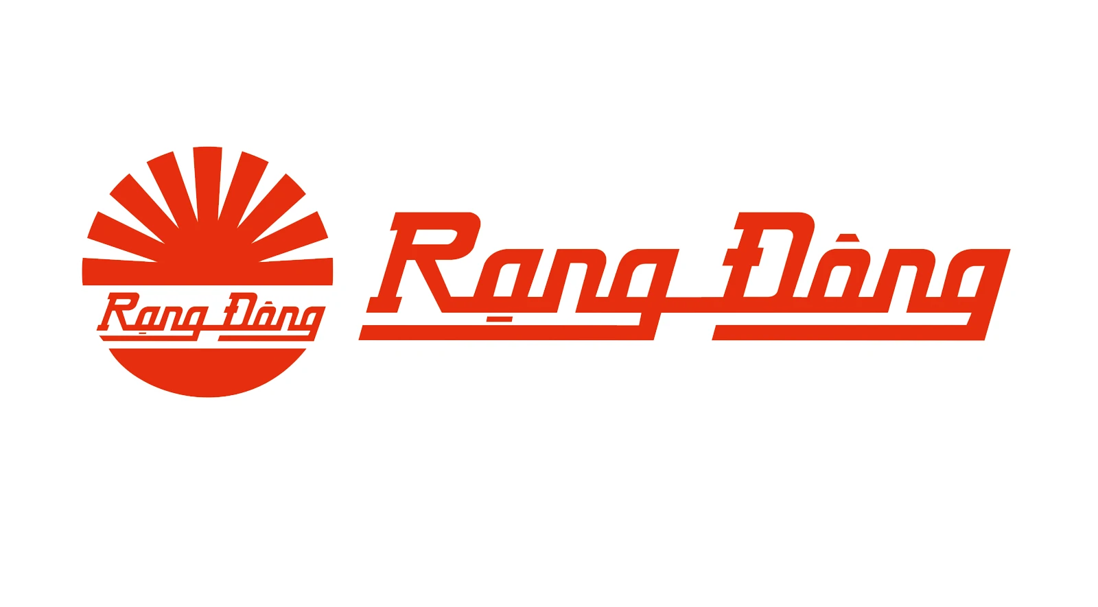 Rang Dong Light Source and Vacuum Flask Joint Stock Company
