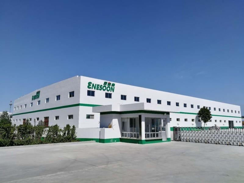 Enesoon(Shenzhen) High-end Intelligent Equipment Co., Ltd