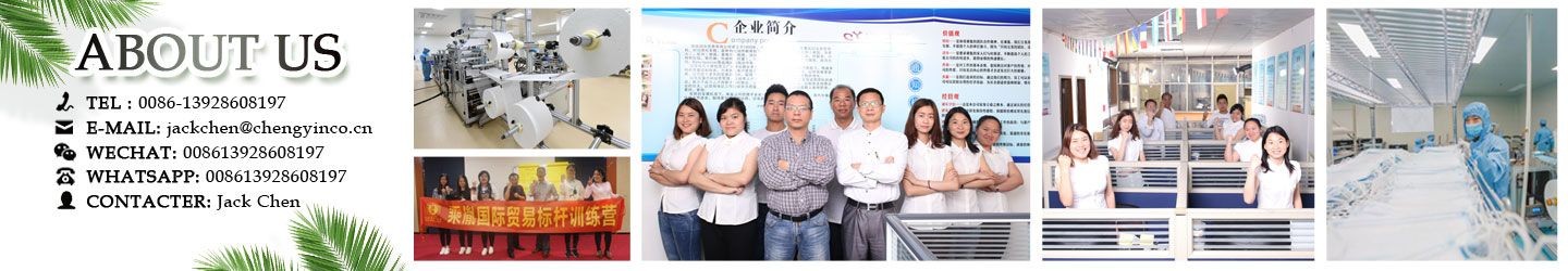Chengyin international trade ltd