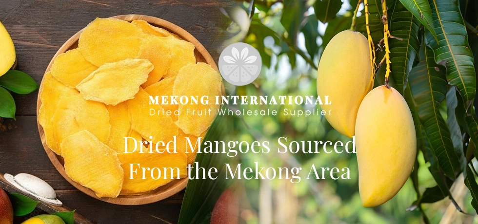 Mekong International Co.,Ltd