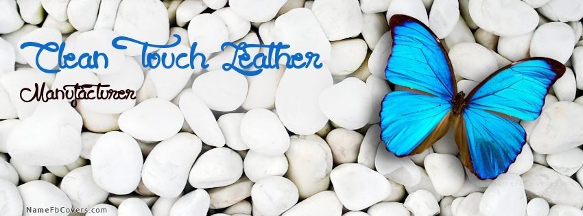 CLEAN TOUCH LEATHER INTERNATIONAL