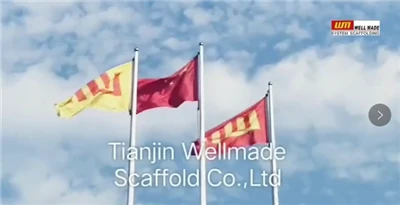 Tianjin Wellmade Scaffold Co., Ltd.