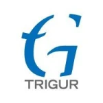 TRIGUR ELECTRONICS INDIA PRIVATE LIMITED