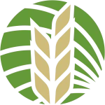PT Siginjai Agro Internasional