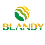 Shenzhen Blandy Technology Co., Ltd.