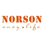 Shenzhen Norson Industry Co., Ltd.