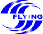 Shenzhen Flying-Digital Technology Co., Ltd.