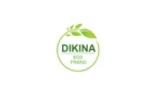Guangzhou Dikina Crafts Co., Ltd.