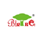 Shantou City Big Tree Toys Co., Ltd.