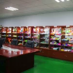 Dongguan Star Child Toys Co., Ltd.