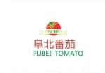Xinjiang Fubei Tomato Products Limited Company