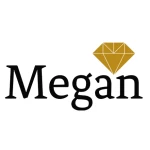 Shenzhen Megan Jewelry Co., Ltd.