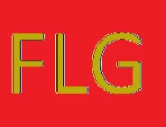 FLG Hot Stamping Processing