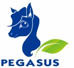 Pegasus International Business Co., Ltd.