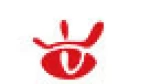 Shanghai Evision International Trading Co., Ltd.