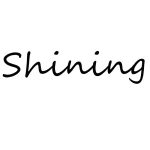 Guangzhou Shining Clothing Co., Ltd.
